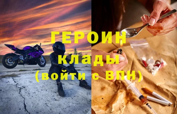 гашик Алексин