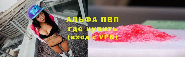 гашик Алексин