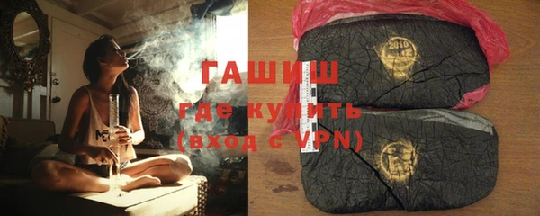 гашик Алексин